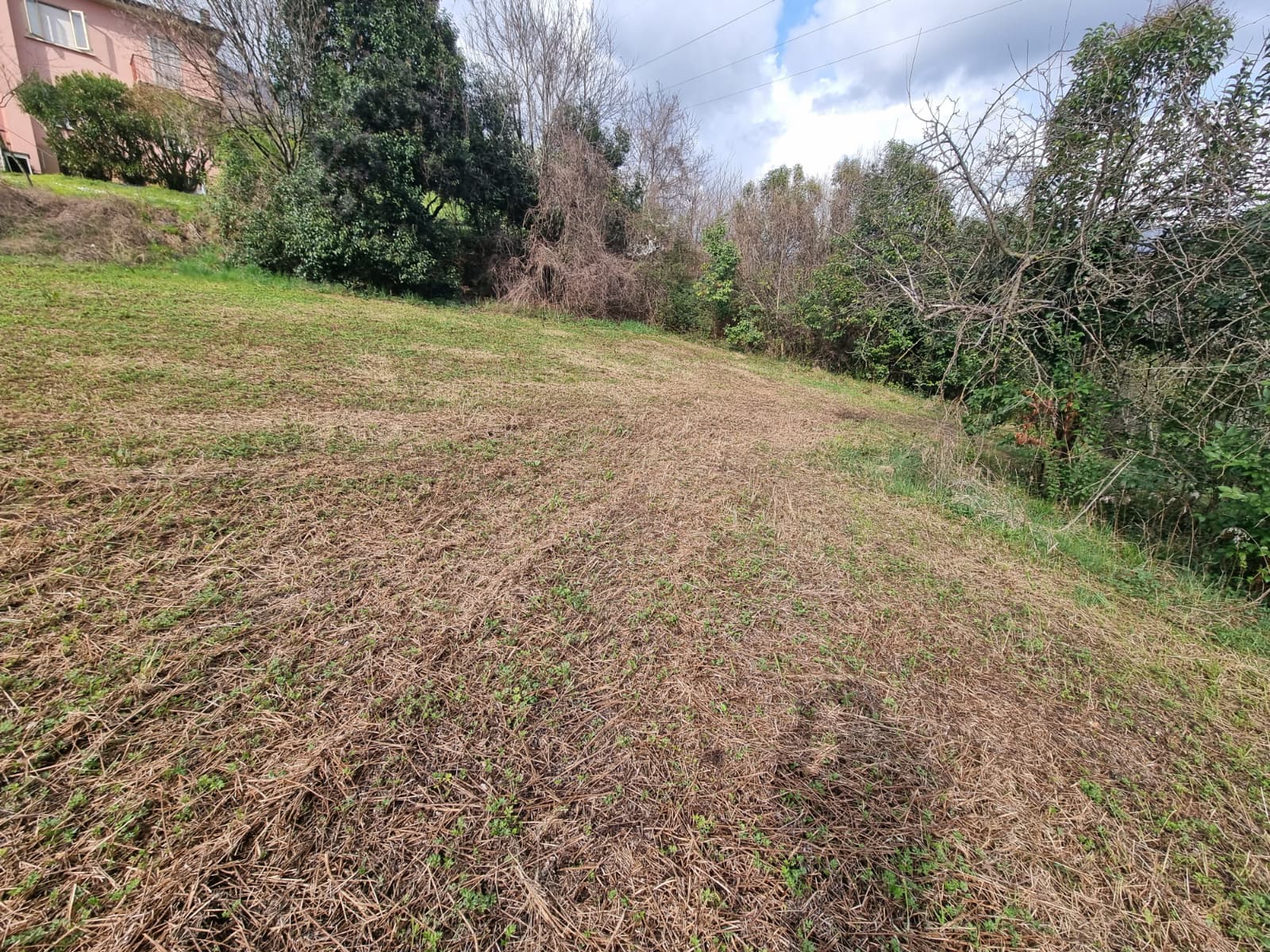 Terreno Edificabile a Vittorio Veneto Longhere